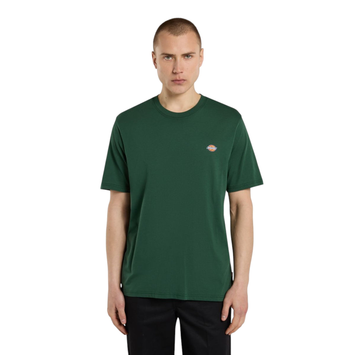 Dickies Men's Short Sleeve Mapleton T-Shirt Black / Small-Black / Medium-Black / Large-Black / X-Large-Pine Needle Green / Small #- 53 Degrees North 