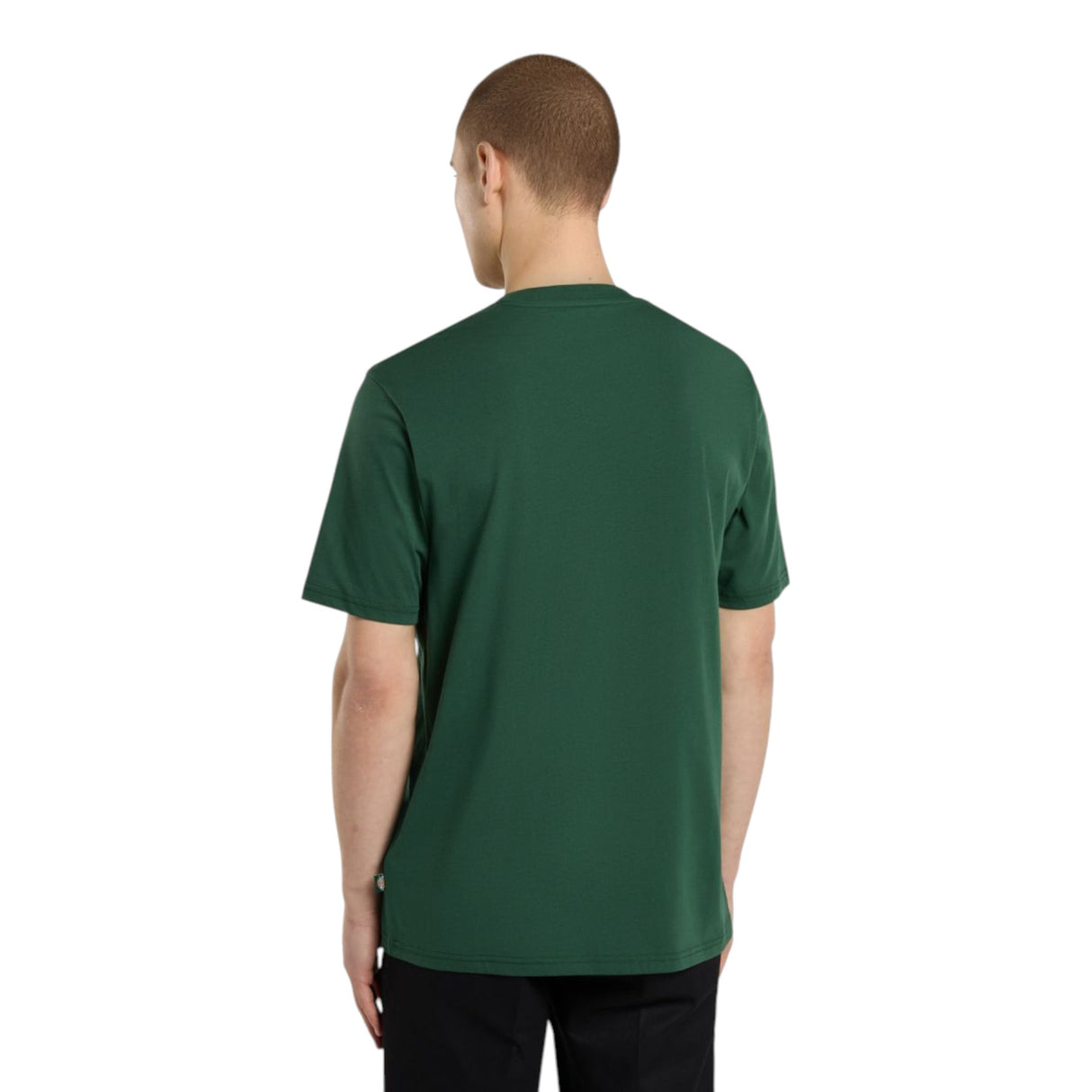 Dickies Men's Short Sleeve Mapleton T-Shirt Black / Small-Black / Medium-Black / Large-Black / X-Large-Pine Needle Green / Small #- 53 Degrees North 