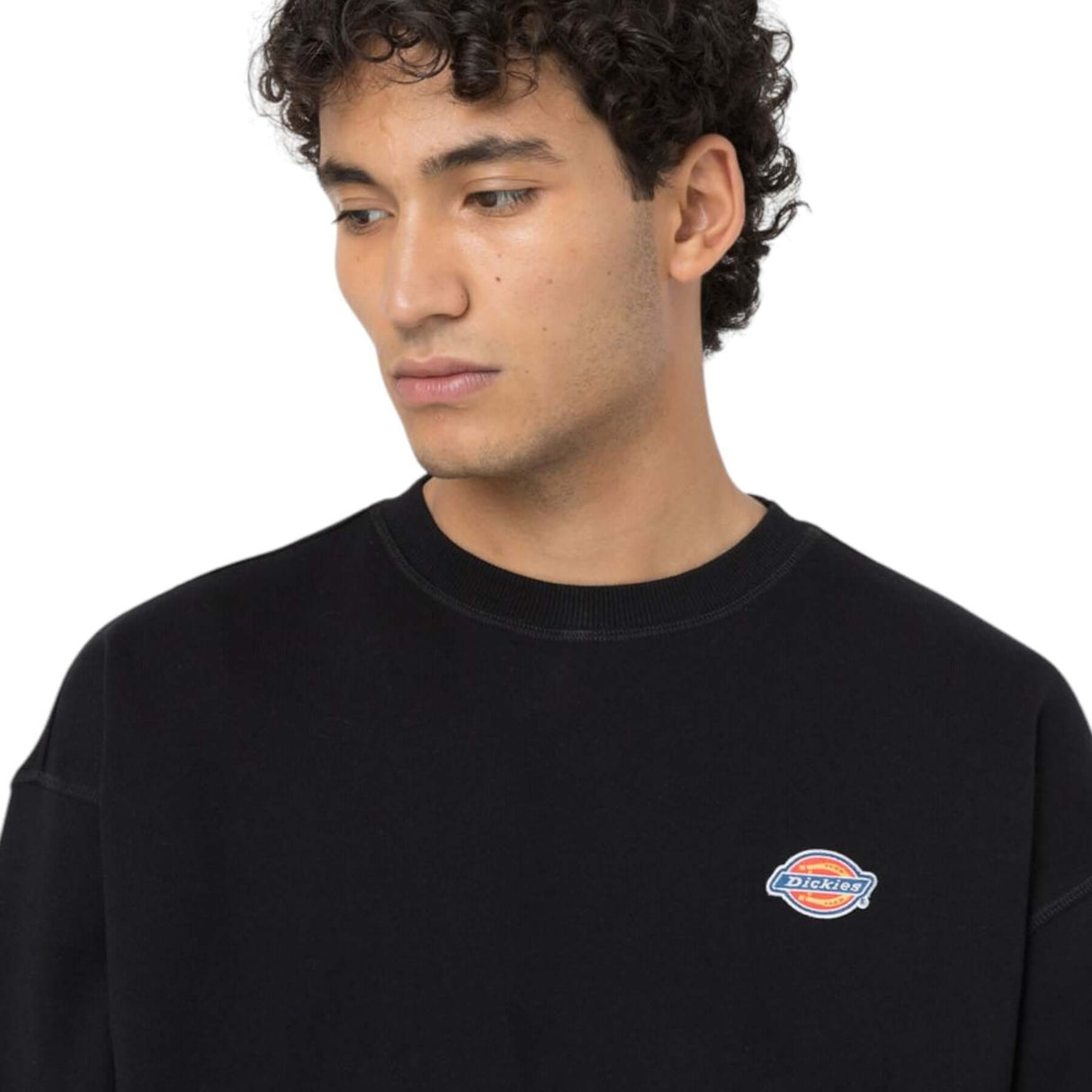 Dickies Men's Millersburg Sweatshirt Black / Small-Black / Medium-Black / Large-Black / X-Large #- 53 Degrees North 