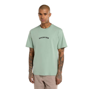 Dickies Men's Dickies Outdoor T-Shirt Iceberg Green / Small-Iceberg Green / Medium-Iceberg Green / Large-Iceberg Green / X-Large #- 53 Degrees North 