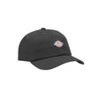 Dickies Hardwick Cap Black-Skyway - 53 Degrees North 