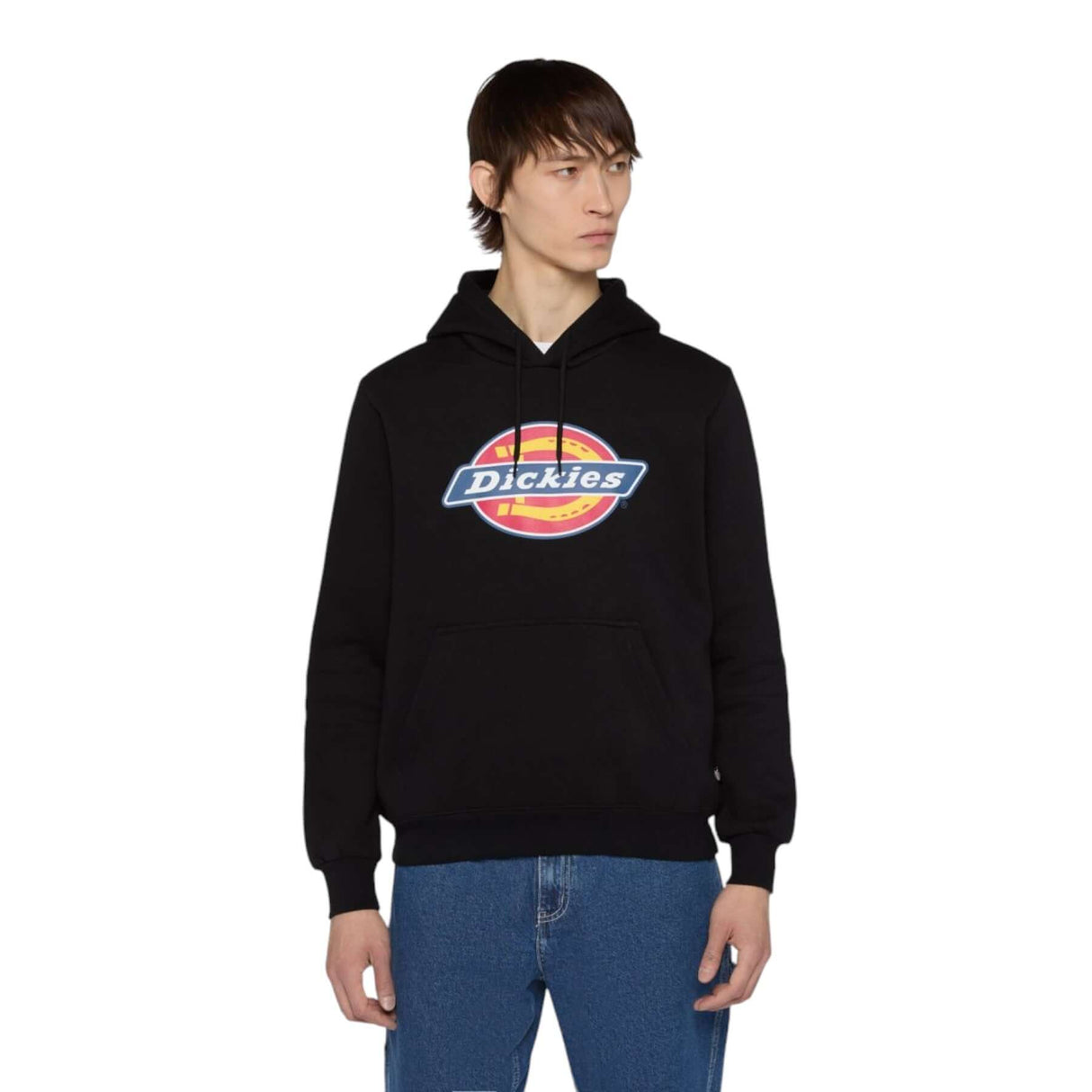 Dickies Men's Icon Logo Hoodie Black / Small-Black / Medium-Black / Large-Black / X-Large - 53 Degrees North 