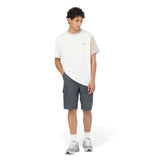 Dickies Men's Millerville Shorts Charcoal Grey / 30-Charcoal Grey / 32-Charcoal Grey / 34-Charcoal Grey / 36 - 53 Degrees North 