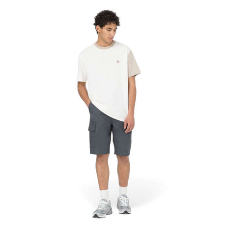 Dickies Men's Millerville Shorts Charcoal Grey / 30-Charcoal Grey / 32-Charcoal Grey / 34-Charcoal Grey / 36 - 53 Degrees North 