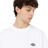 Dickies Men's Summerdale T-Shirt English Red / Small-English Red / Medium-English Red / Large-English Red / X-Large-Black / Small - 53 Degrees North 