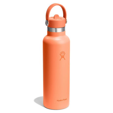 Hydro Flask 21 oz Standard Mouth with Flex Straw Cap Insulated Bottle Popstar Pink-Mermaid Green-Capri Blue-Beachplum-Nectar - 53 Degrees North 