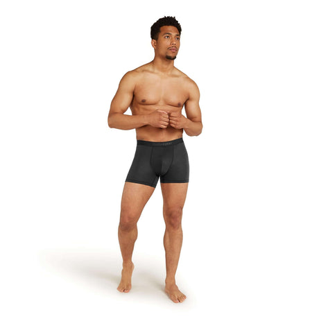 Icebreaker Men's Merino 150 Anatomica Boxers Atlantis / Small-Atlantis / Medium-Atlantis / Large-Atlantis / X-Large-Atlantis / XX-Large - 53 Degrees North 