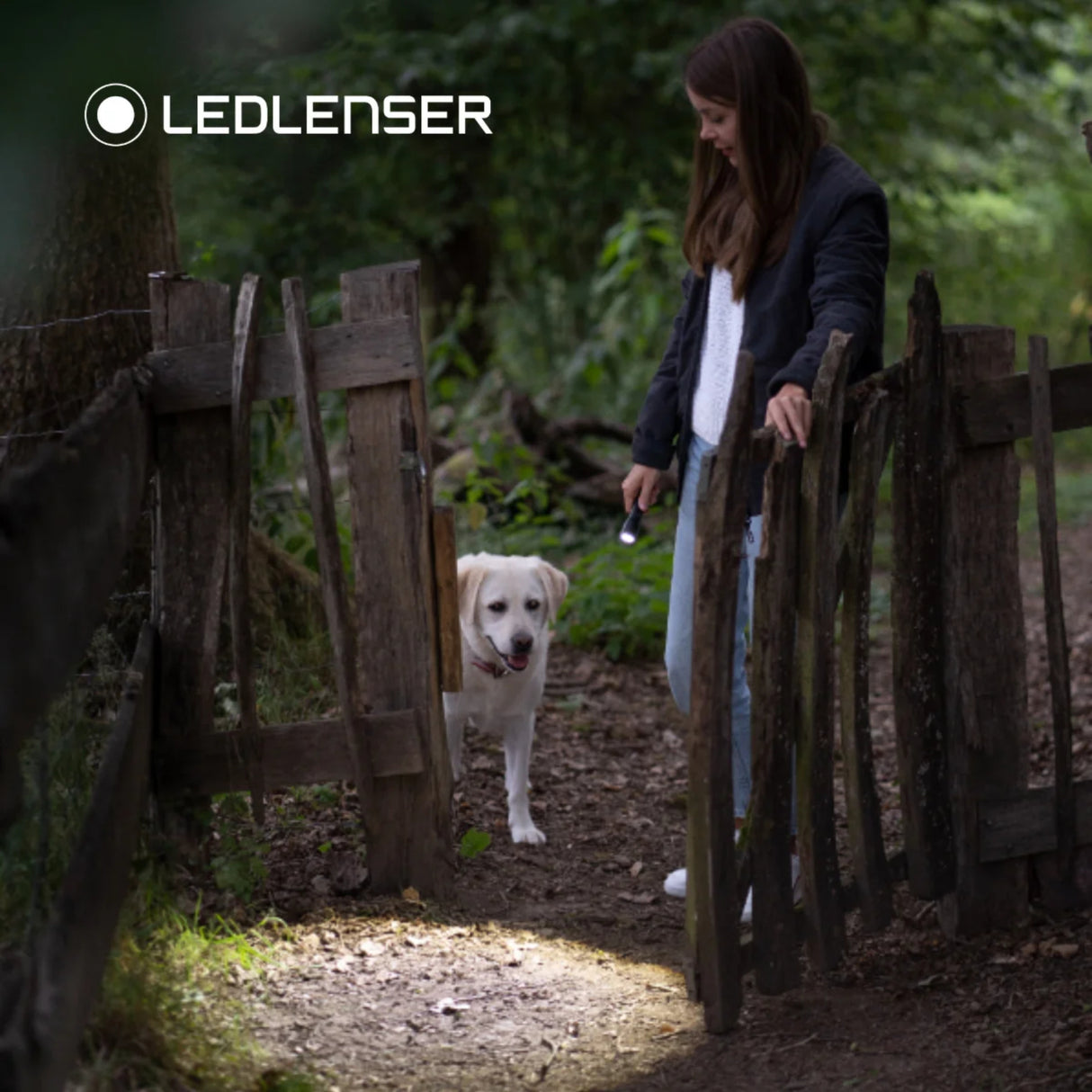 LEDLenser P3 Core Mini Torch Black - 53 Degrees North 