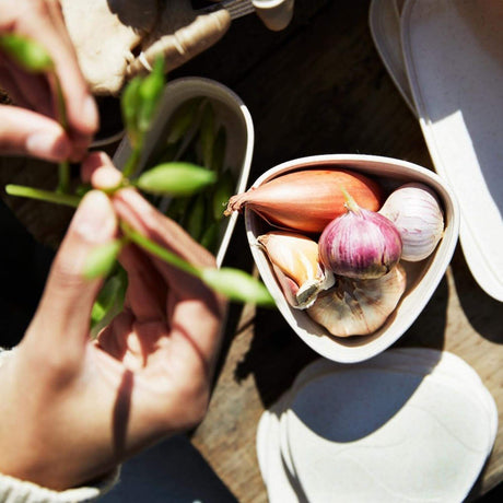 Light My Fire Lunchkit 2.0 Cream-Sandy Green - 53 Degrees North 