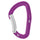 Petzl Djinn Bent Gate Carabiner Turquoise-Violet #- 53 Degrees North 