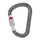 Petzl William Screw Lock Carabiner Silver #- 53 Degrees North 