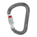 Petzl William Screw Lock Carabiner Silver #- 53 Degrees North 