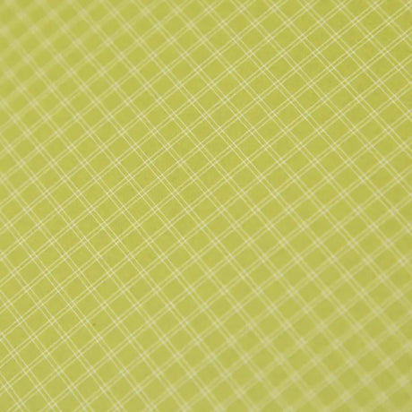 Nemo Dagger OSMO Ridge 2 Person Trekking Tent Green - 53 Degrees North 