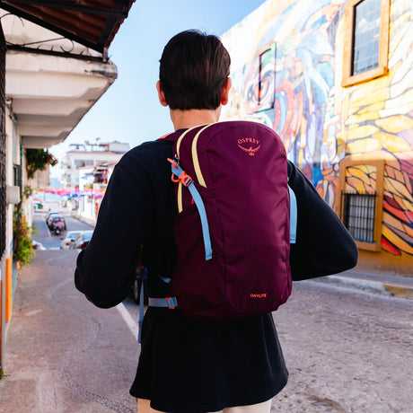 Osprey Daylite Backpack Moody Burgundy-Blue Spikemoss/Alkaline-Black-Cascade Blue/Latte Brown - 53 Degrees North 