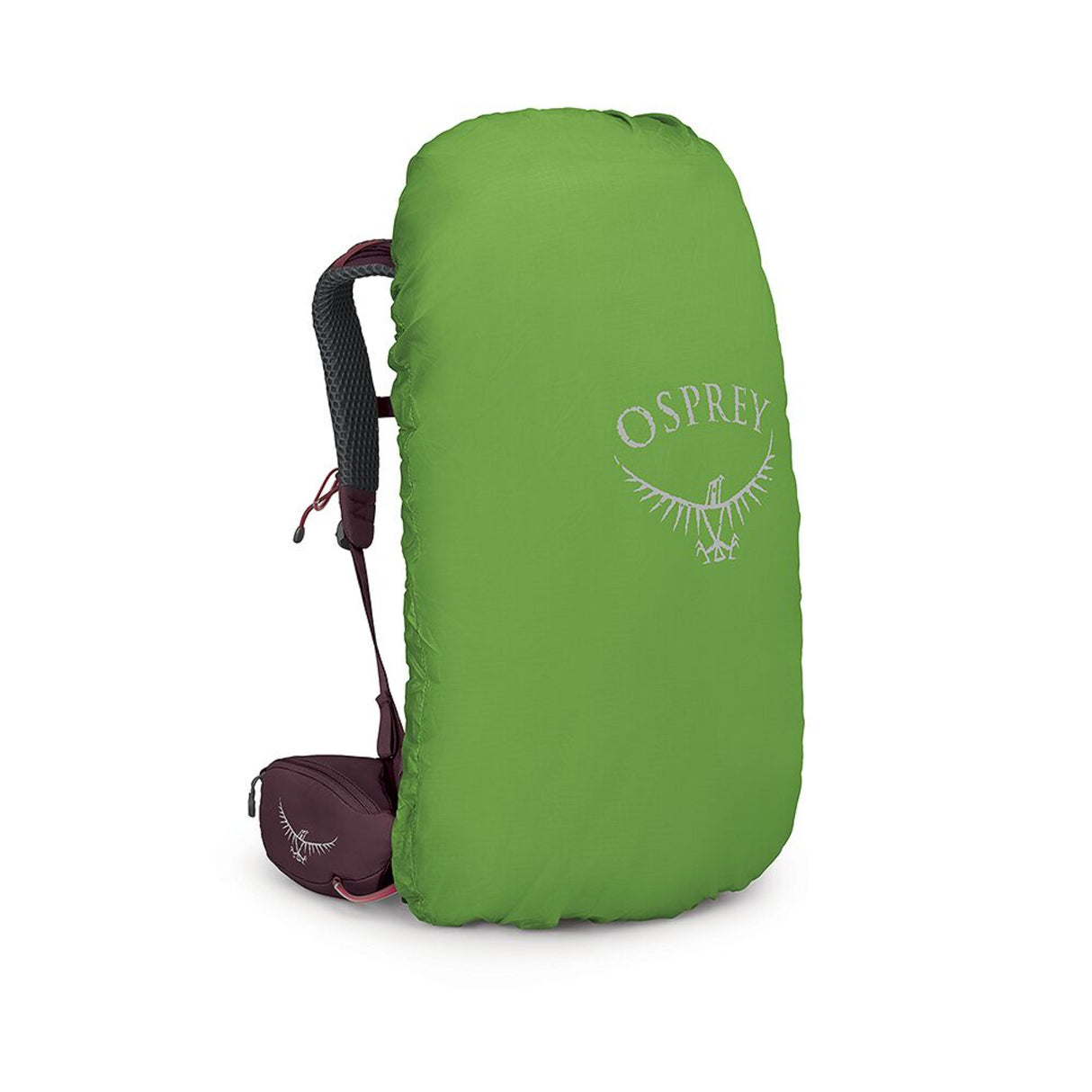 Osprey Kyte 38 Hiking Backpack Rocky Brook Green / X-Small/Small-Rocky Brook Green / Medium/Large-Black / X-Small/Small-Black / Medium/Large - 53 Degrees North 