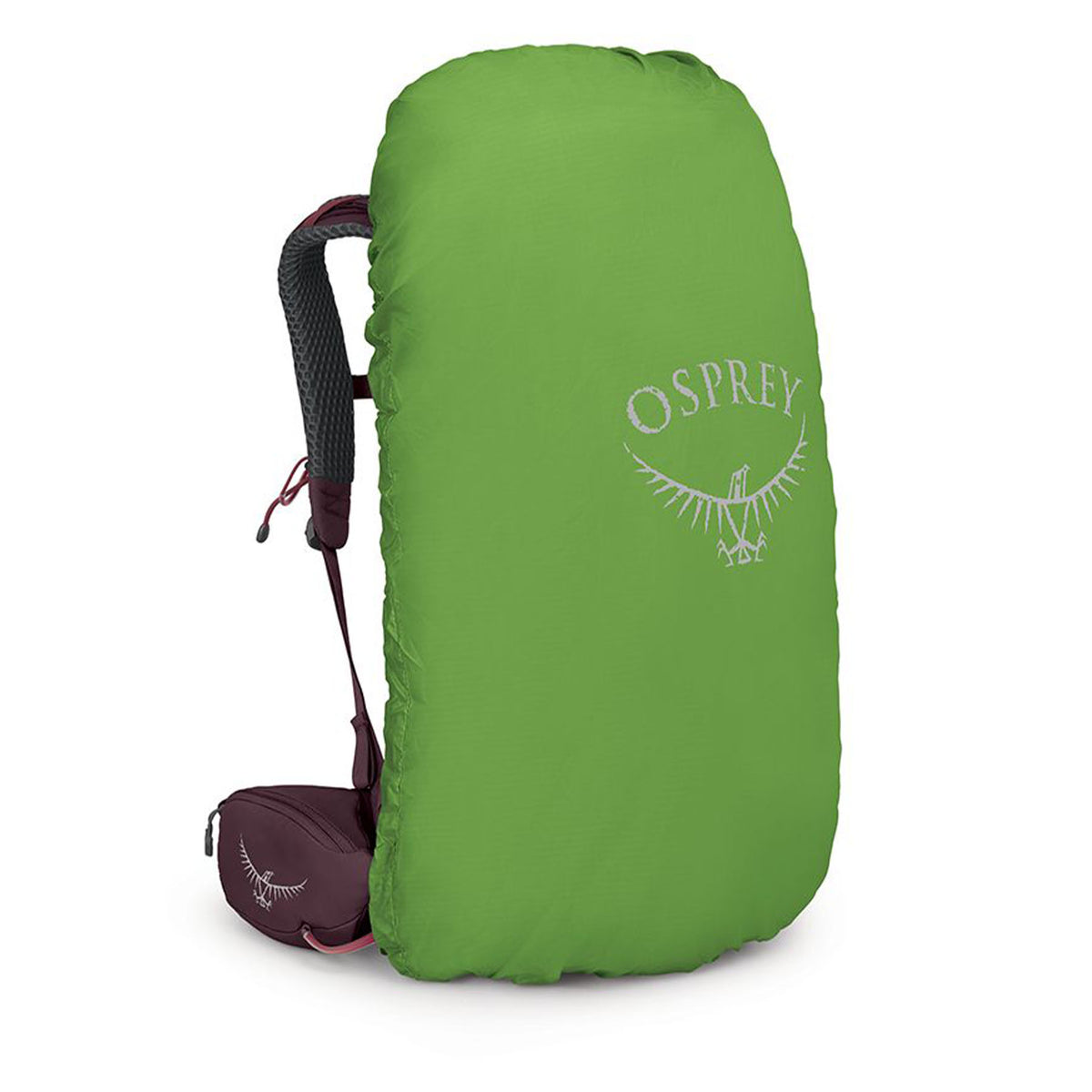 Osprey Women's Kyte 38 Hiking Backpack Rocky Brook Green / X-Small/Small - 53 Degrees North