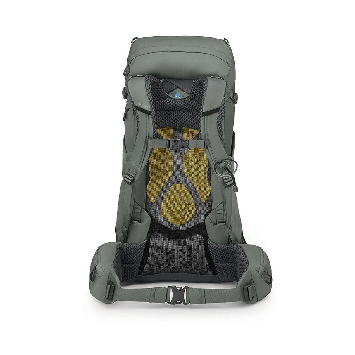 Osprey Women's Kyte 38 Hiking Backpack Rocky Brook Green / X-Small/Small - 53 Degrees North