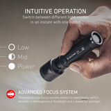 P5R Torch