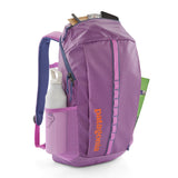 Patagonia Black Hole Pack 25L Birch White - 53 Degrees North