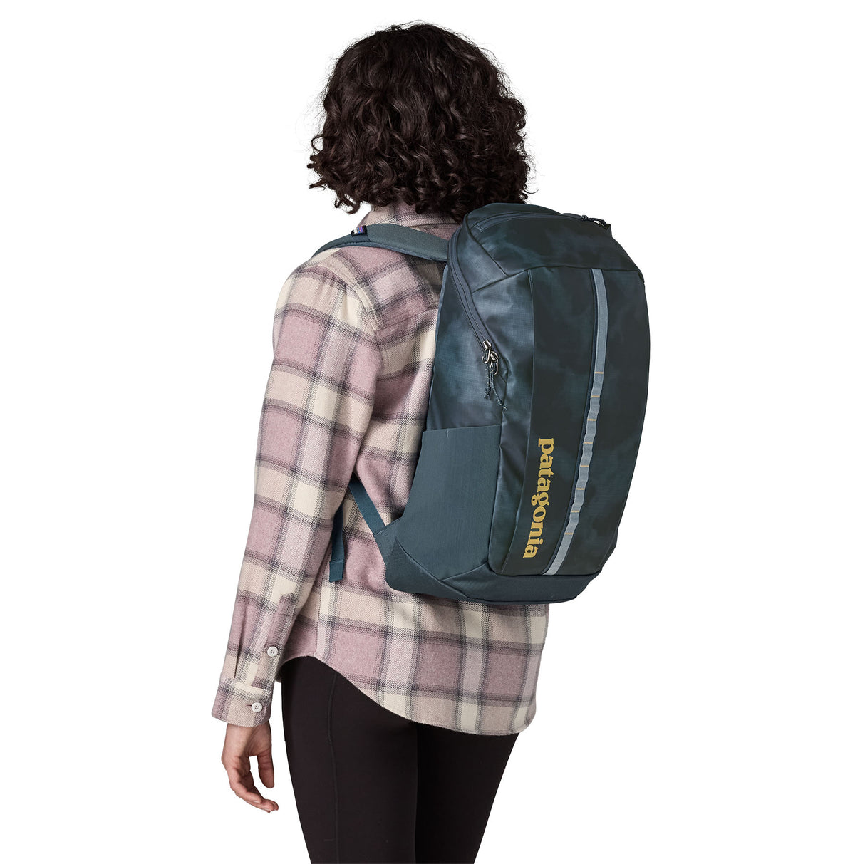 Patagonia Black Hole Pack 25L Birch White - 53 Degrees North