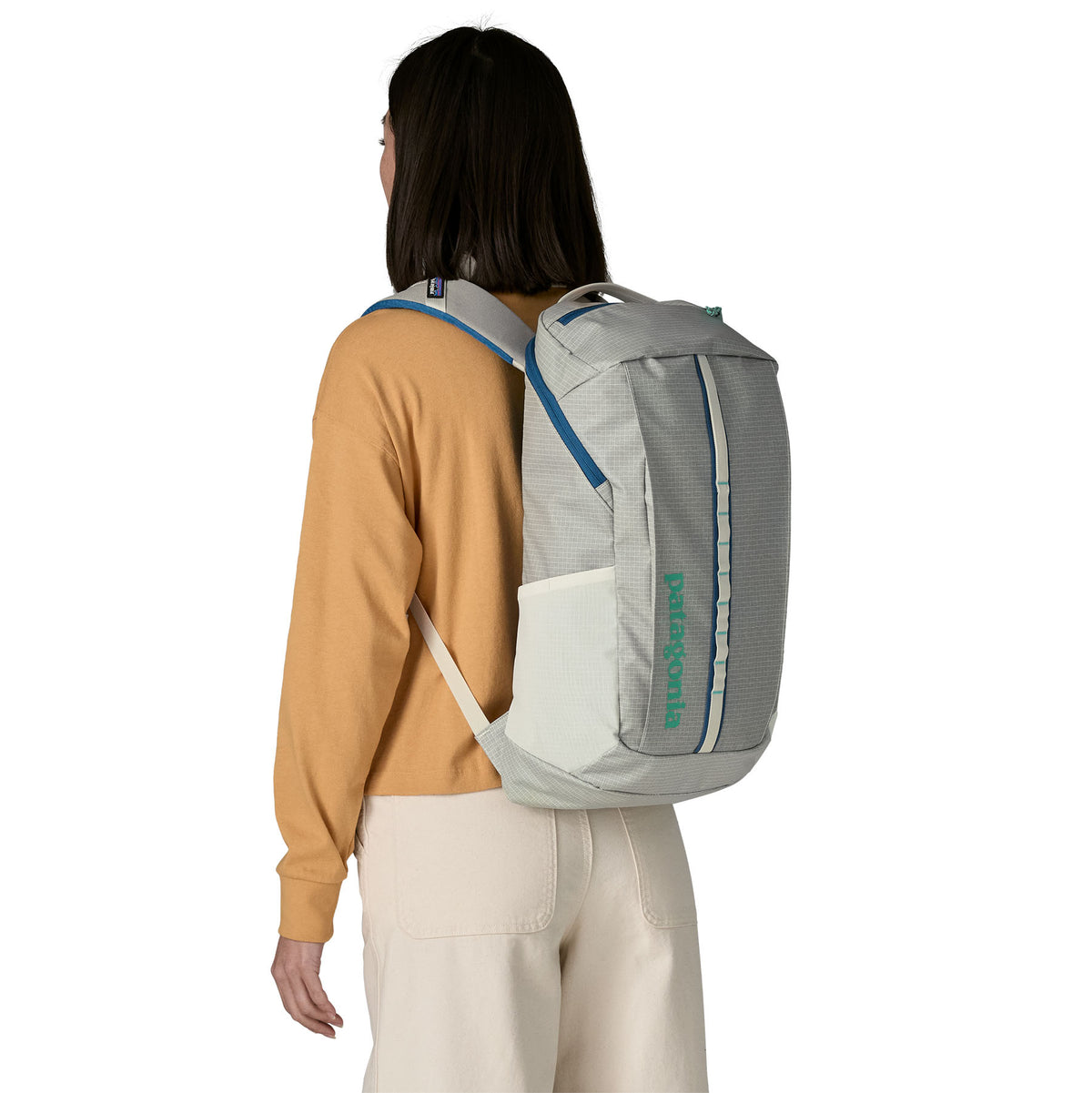 Patagonia Black Hole Pack 25L Birch White - 53 Degrees North
