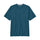 Patagonia Men's P 6 Logo Responsibili Tee Glacial Blue / Small - 53 Degrees North