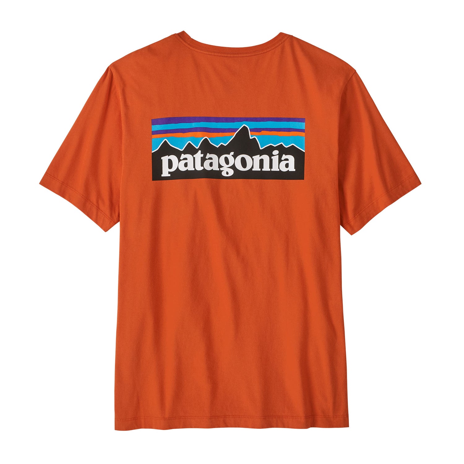 Patagonia Men's P-6 Logo T-Shirt Gem Green / Small-Gem Green / Medium-Gem Green / Large-Gem Green / X-Large-Gem Green / XX-Large - 53 Degrees North 
