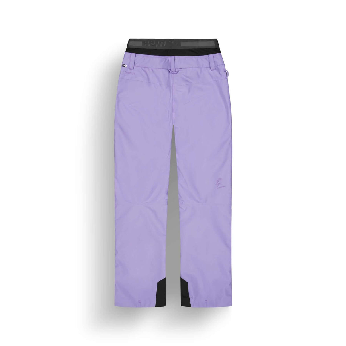 Picture Women's Exa Pants Paisley Purple / X-Small-Paisley Purple / Small-Paisley Purple / Medium-Paisley Purple / Large-Black / X-Small - 53 Degrees North 