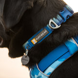 Ruffwear Front Range Dog Collar Blue Pool / 279mm-355mm-Blue Pool / 355mm-508mm-Blue Pool / 508mm-660mm-Basalt Grey / 279mm-355mm-Basalt Grey / 355mm-508mm - 53 Degrees North 