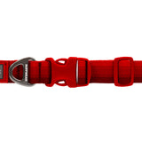 Ruffwear Front Range Dog Collar Blue Pool / 279mm-355mm-Blue Pool / 355mm-508mm-Blue Pool / 508mm-660mm-Basalt Grey / 279mm-355mm-Basalt Grey / 355mm-508mm - 53 Degrees North 