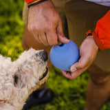 Ruffwear Huckama Rubber Throw Dog Toy Heliotrope Purple-Sage Green-Campfire Orange - 53 Degrees North 