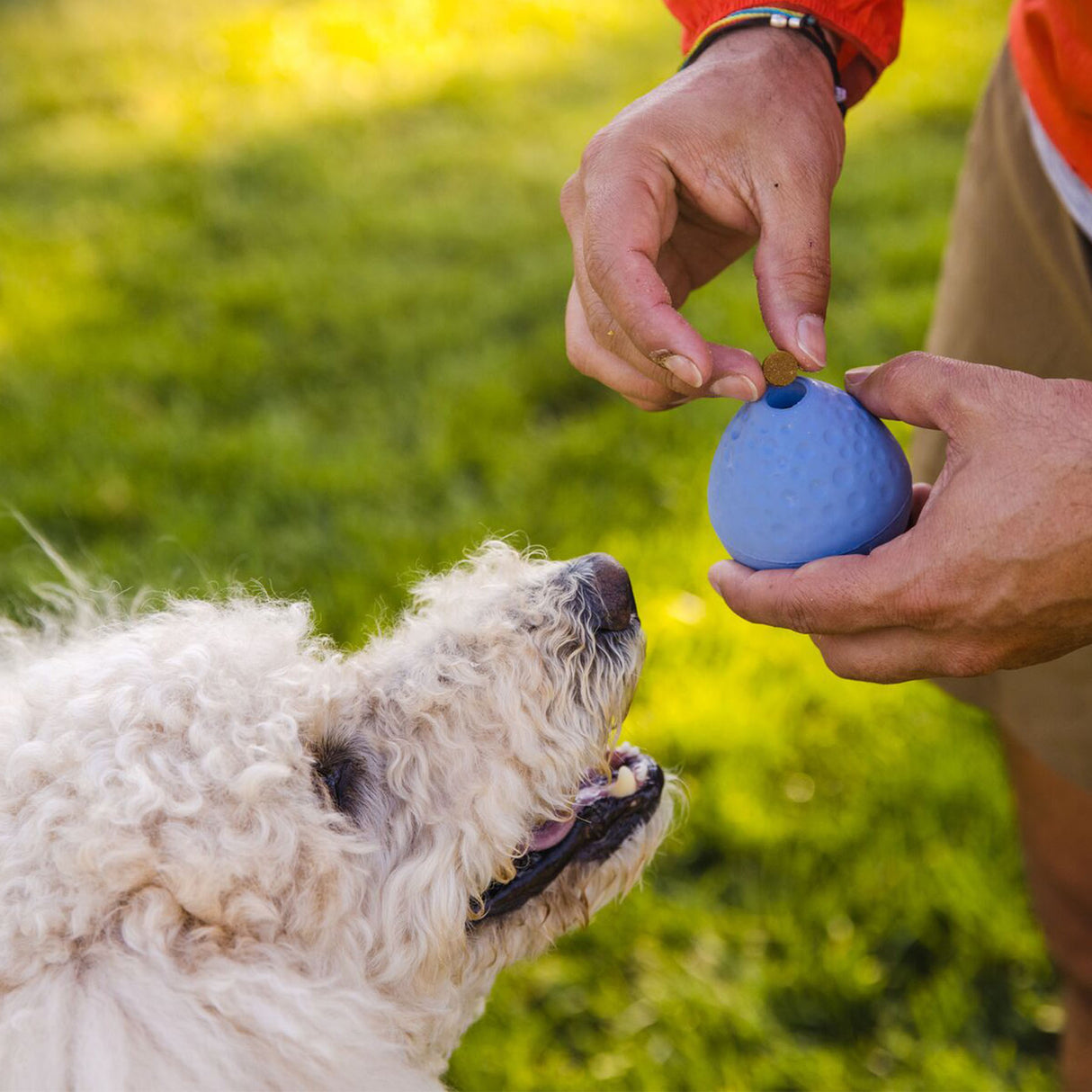 Ruffwear Turnup Rubber Throw Dog Toy Campfire Orange-Heliotrope Purple-Sage Green - 53 Degrees North 