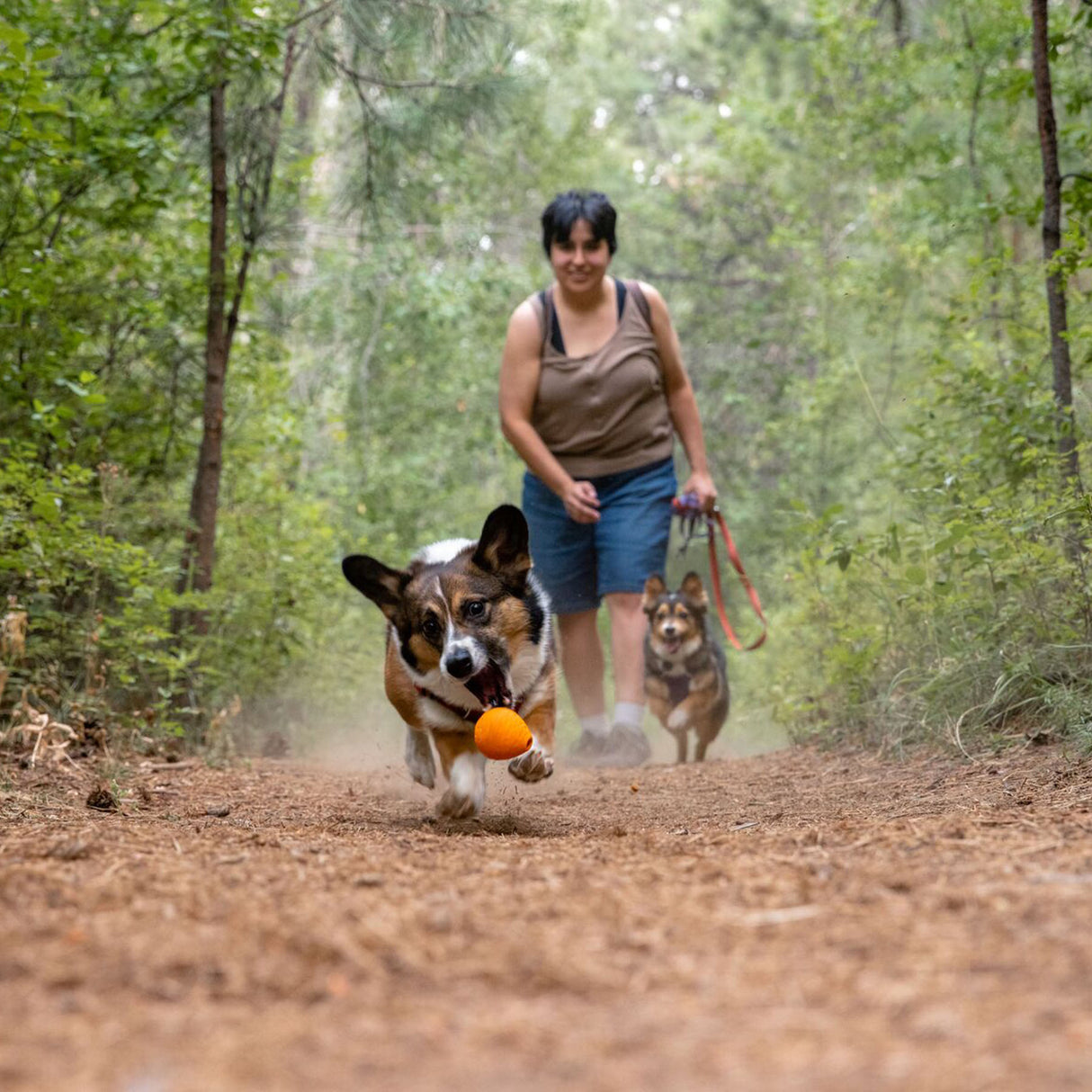 Ruffwear Turnup Rubber Throw Dog Toy Campfire Orange-Heliotrope Purple-Sage Green - 53 Degrees North 
