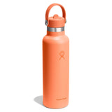 Hydro Flask 21oz Standard Straw Cap Water Bottle Beachplum-Nectar-Surf #- 53 Degrees North 