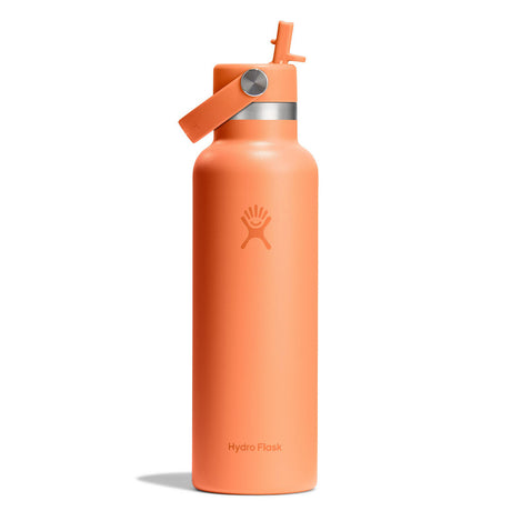 Hydro Flask 21oz Standard Straw Cap Water Bottle Beachplum-Nectar-Surf #- 53 Degrees North 