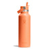 Hydro Flask 21oz Standard Straw Cap Water Bottle Beachplum-Nectar-Surf #- 53 Degrees North 