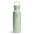 Hydro Flask 21oz Standard Mouth Water Bottle Aloe-Trillium #- 53 Degrees North 