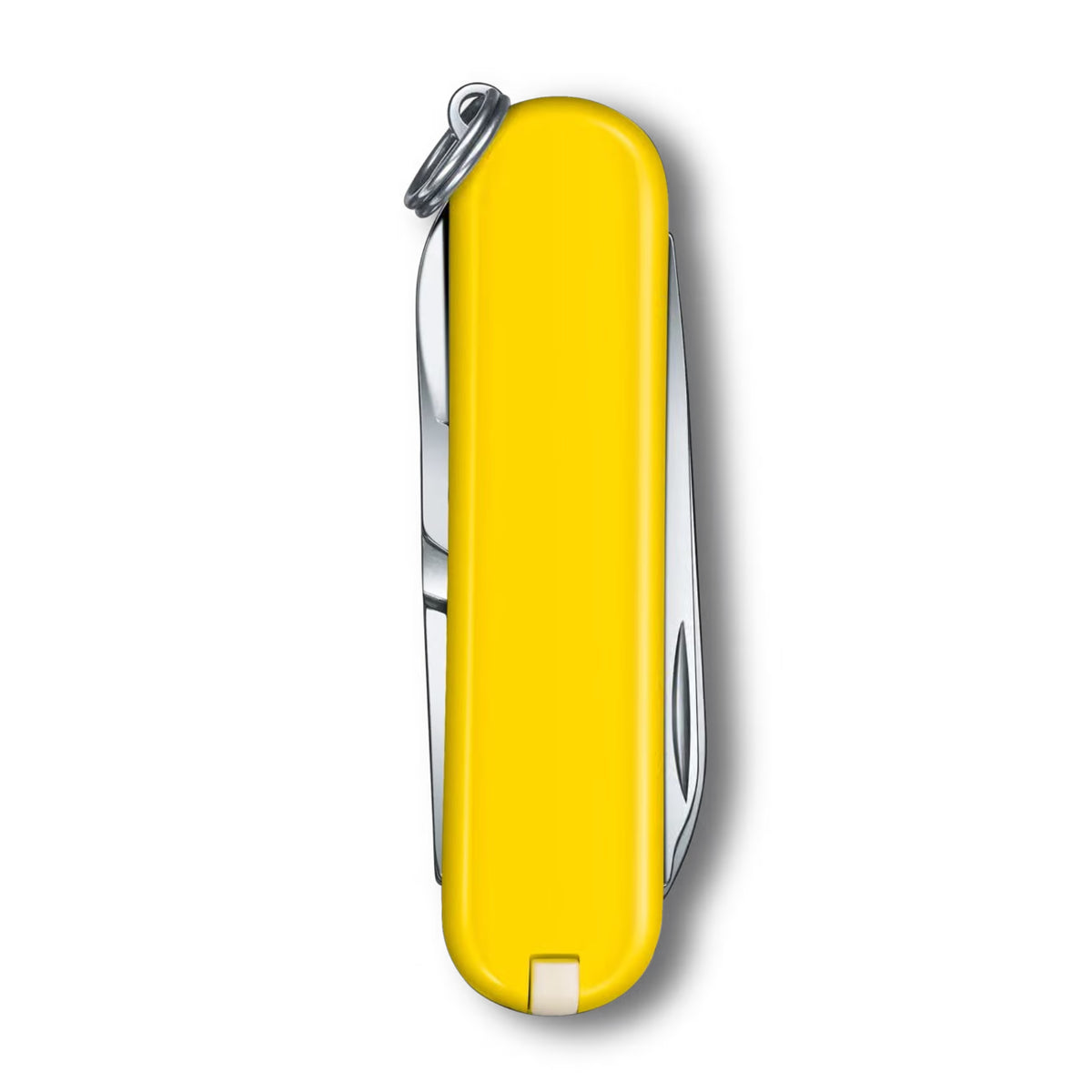 Classic Yellow Sunnyside