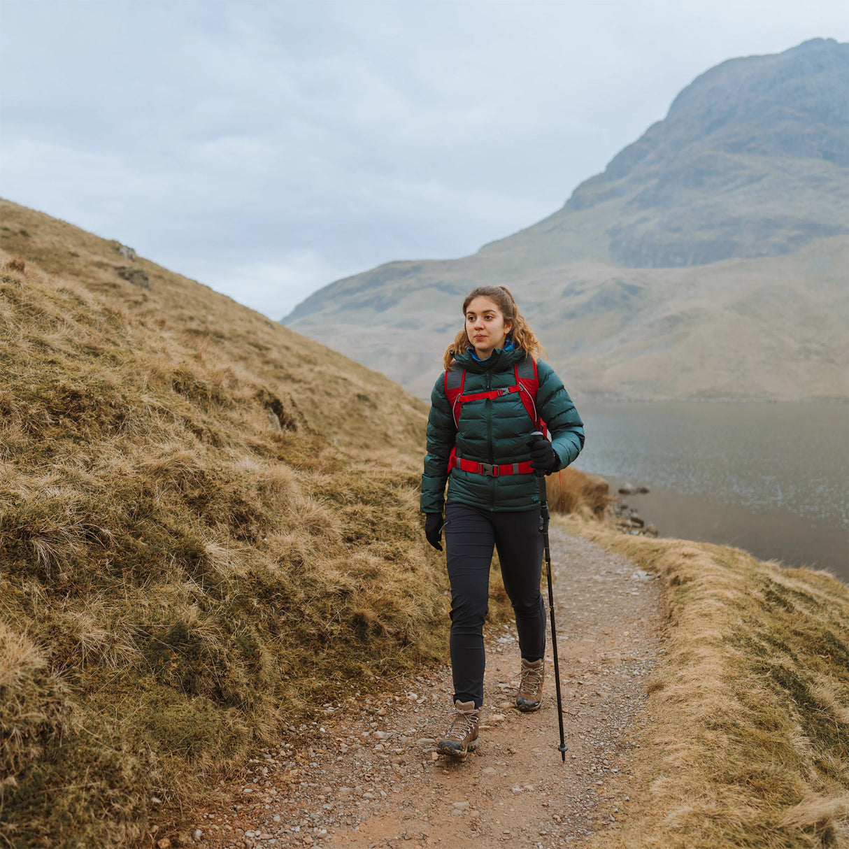 Trekmates Fold Lock Pole Black #- 53 Degrees North 