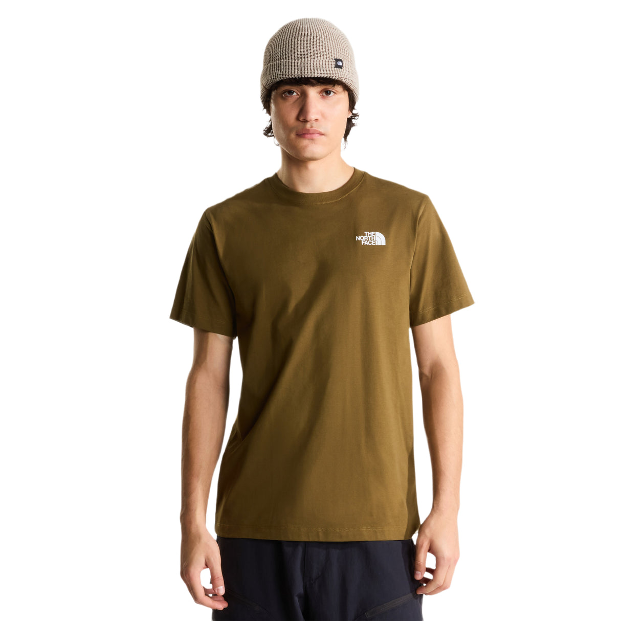 The North Face Men's Evolution Box NSE Regular Short Sleeve T-Shirt Caraway Seed / Small - 53 Degrees North
