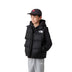 The North Face Teen 1996 Retro Nuptse Jacket New Taupe Green / Age 5-6-New Taupe Green / Age 7-8-New Taupe Green / Age 9-10-New Taupe Green / Age 11-12-New Taupe Green / Age 14-16 - 53 Degrees North 