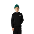 The North Face Teen Box NSE Regular Hoodie TNF Black / Age 7-8-TNF Black / Age 10-TNF Black / Age 12-TNF Black / Age 14-16-TNF Black / Age 18-20 - 53 Degrees North 