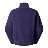 The North Face Unisex Redbox Half Zip Fleece Obsidian / Small - 53 Degrees North