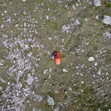 Vango F10 Banshee UL 1 Person Tent Burnt Orange - 53 Degrees North 