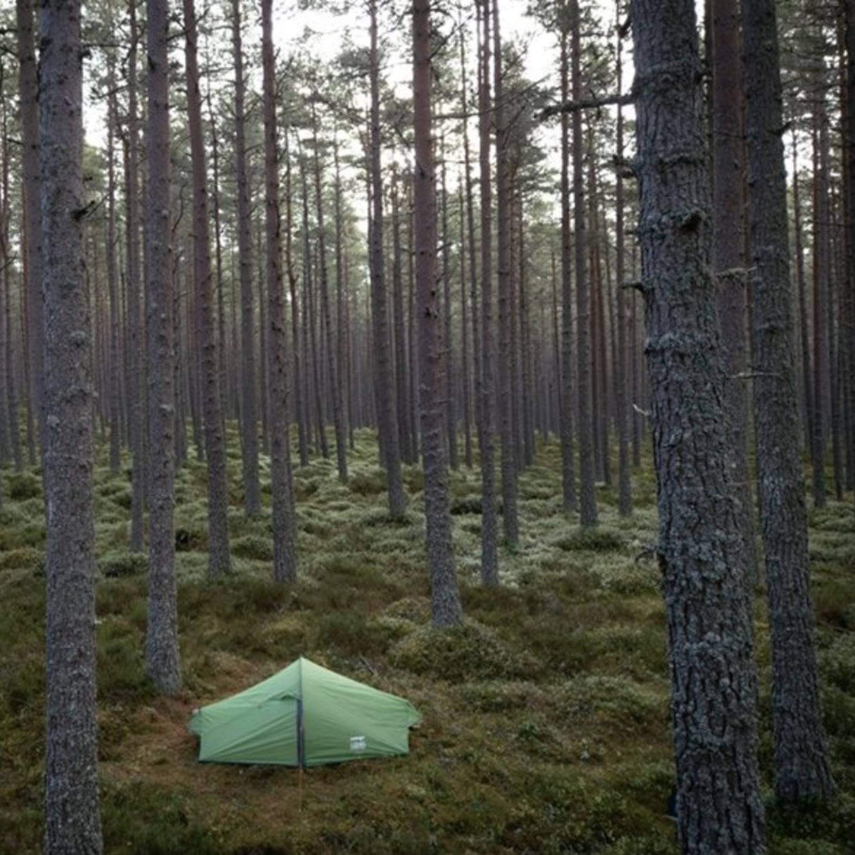 Vango Nevis 100 1-Person Tent Pamir Green - 53 Degrees North 