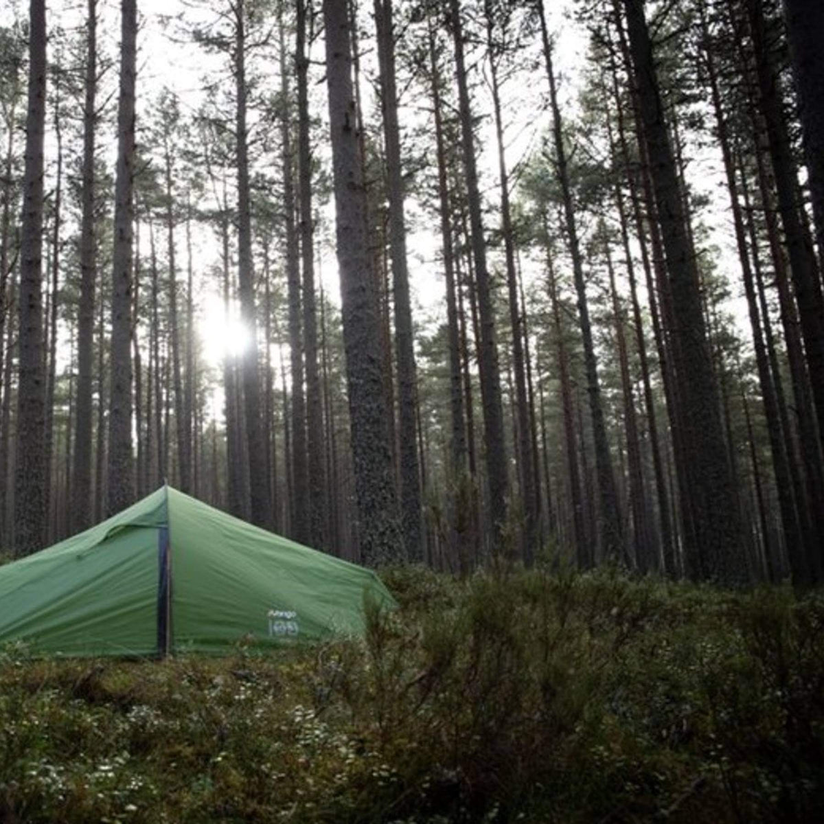 Vango Nevis 100 1-Person Trekking Tent Pamir Green - 53 Degrees North