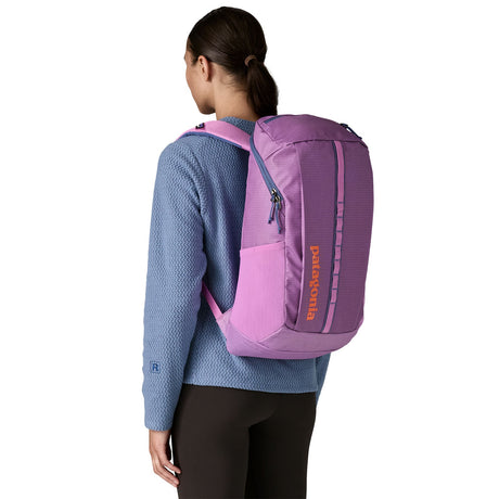 Patagonia Black Hole Pack 25L Backpack Brisk Purple-Black/Black-Smolder Blue-Tidal Teal #- 53 Degrees North 