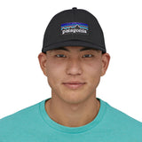Patagonia P-6 Logo LoPro Trucker Hat Birch White-Barnacle Blue-Talon Gold-Abundant Blue-Heartleaf Green #- 53 Degrees North 