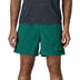 Men's Baggies Shorts - 5 inch