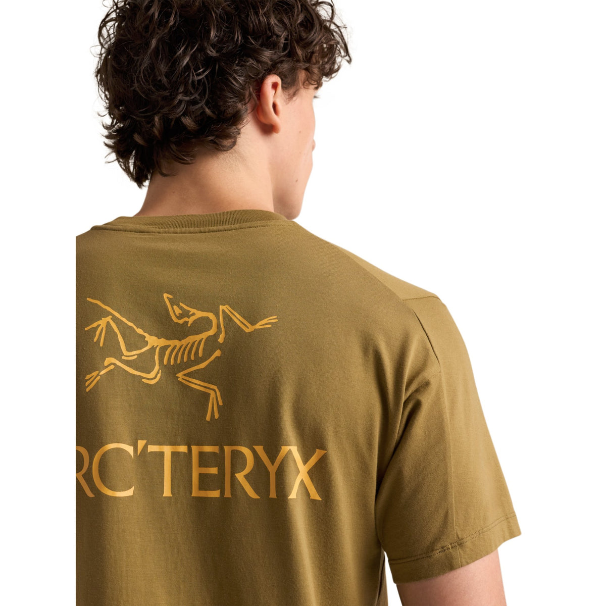 Arc'teryx Men's Kragg SL Cotton Bird Word Short Sleeve Tee Bracken/Larch - 53 Degrees North